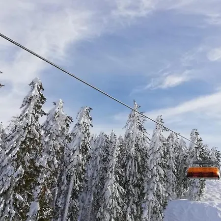 Ferienwohnung An Der Piste *
