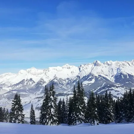 Ferienwohnung An Der Piste * Saalfelden