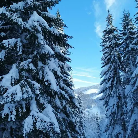 Ferienwohnung An Der Piste * Saalfelden
