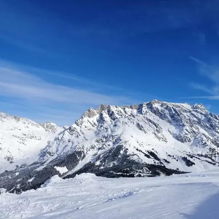 Ferienwohnung An Der Piste * Saalfelden